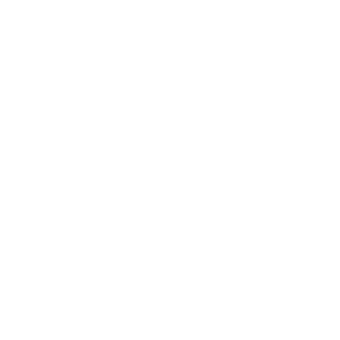 TikTok Icon